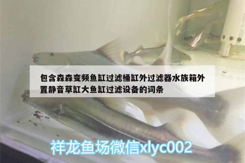 包含森森變頻魚缸過濾桶缸外過濾器水族箱外置靜音草缸大魚缸過濾設(shè)備的詞條 魚缸/水族箱