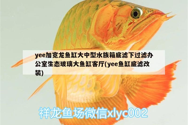 yee加寬龍魚缸大中型水族箱底濾下過濾辦公室生態(tài)玻璃大魚缸客廳(yee魚缸底濾改裝) yee