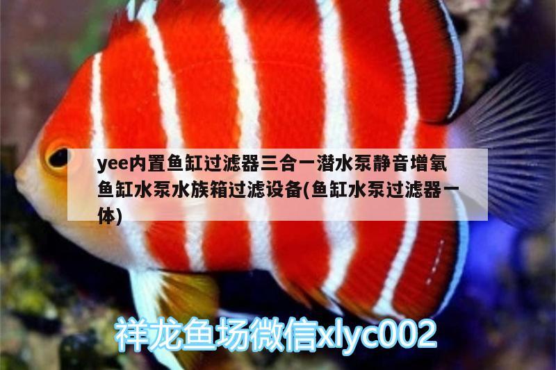 yee內(nèi)置魚缸過濾器三合一潛水泵靜音增氧魚缸水泵水族箱過濾設(shè)備(魚缸水泵過濾器一體)