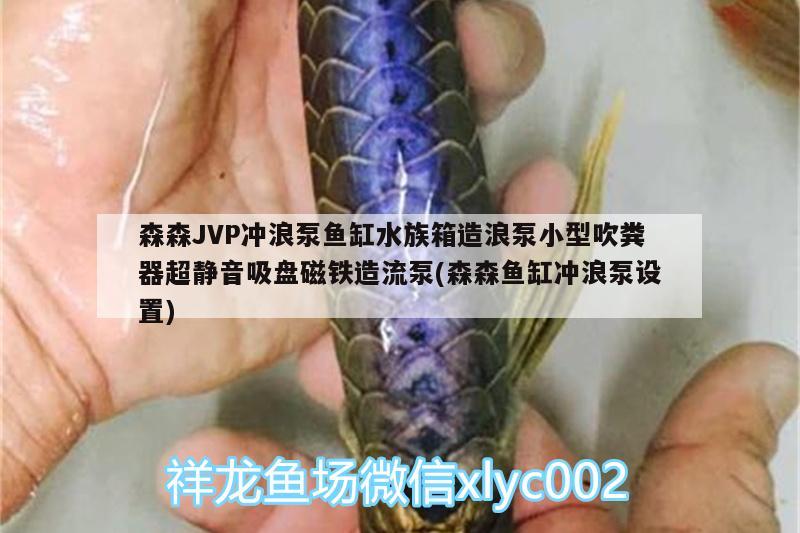 森森JVP沖浪泵魚缸水族箱造浪泵小型吹糞器超靜音吸盤磁鐵造流泵(森森魚缸沖浪泵設(shè)置)