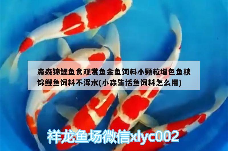 森森錦鯉魚食觀賞魚金魚飼料小顆粒增色魚糧錦鯉魚飼料不渾水(小森生活魚飼料怎么用) 廣州水族器材濾材批發(fā)市場(chǎng)