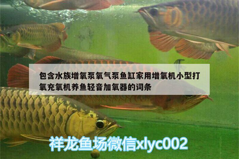 包含水族增氧泵氧氣泵魚缸家用增氧機小型打氧充氧機養(yǎng)魚輕音加氧器的詞條 廣州水族器材濾材批發(fā)市場