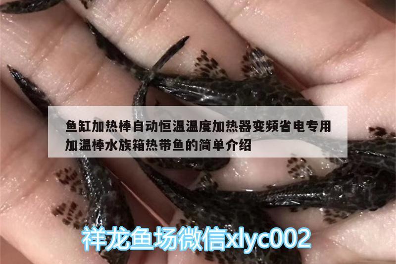 魚缸加熱棒自動恒溫溫度加熱器變頻省電專用加溫棒水族箱熱帶魚的簡單介紹 魚缸/水族箱