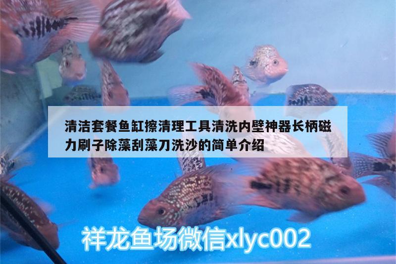 清潔套餐魚缸擦清理工具清洗內(nèi)壁神器長(zhǎng)柄磁力刷子除藻刮藻刀洗沙的簡(jiǎn)單介紹