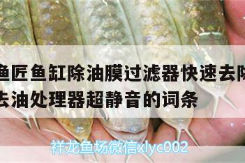 包含老漁匠魚缸除油膜過濾器快速去除表面水質(zhì)雜質(zhì)去油處理器超靜音的詞條