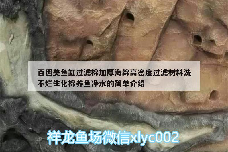 百因美魚缸過濾棉加厚海綿高密度過濾材料洗不爛生化棉養(yǎng)魚凈水的簡單介紹