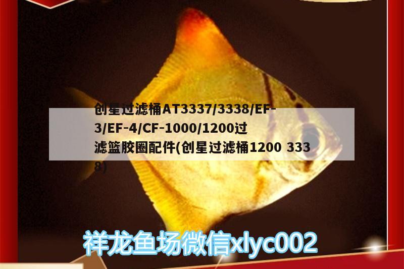 創(chuàng)星過濾桶AT3337/3338/EF-3/EF-4/CF-1000/1200過濾籃膠圈配件(創(chuàng)星過濾桶12003338) 廣州水族器材濾材批發(fā)市場