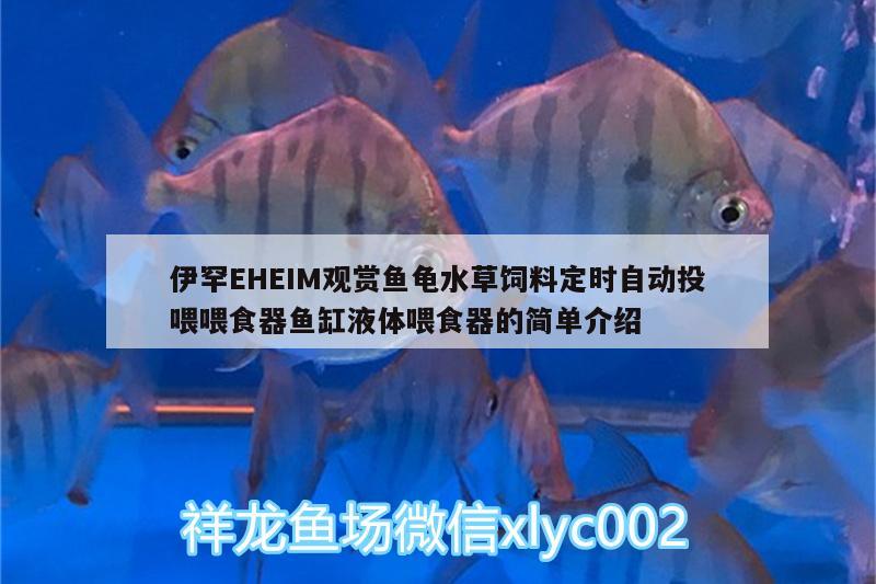 伊罕EHEIM觀賞魚龜水草飼料定時(shí)自動(dòng)投喂喂食器魚缸液體喂食器的簡(jiǎn)單介紹 烏龜