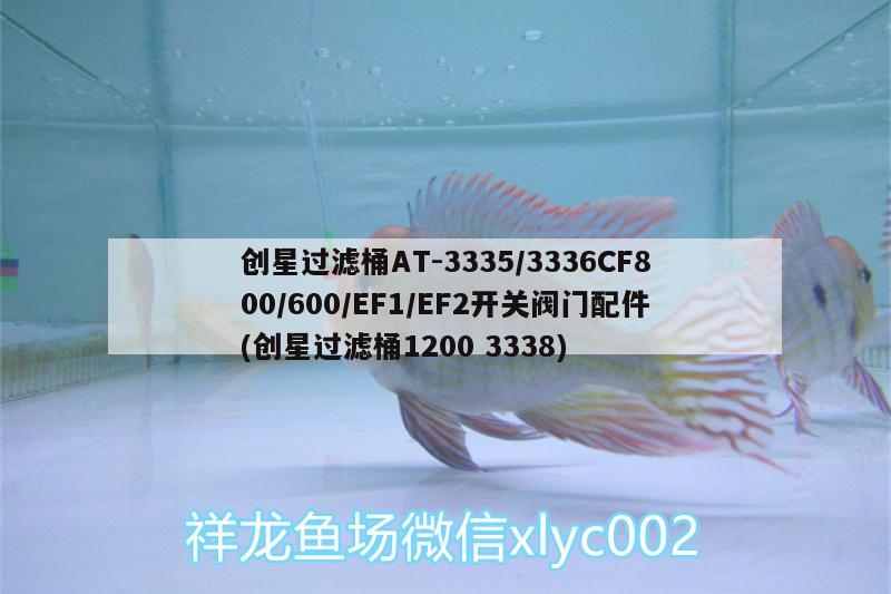 創(chuàng)星過濾桶AT-3335/3336CF800/600/EF1/EF2開關閥門配件(創(chuàng)星過濾桶12003338)