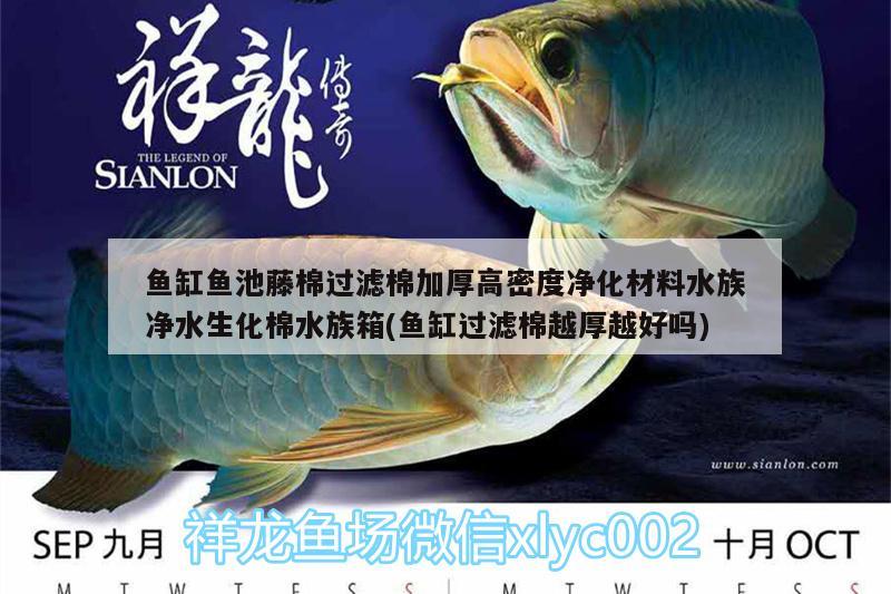 魚缸魚池藤棉過濾棉加厚高密度凈化材料水族凈水生化棉水族箱(魚缸過濾棉越厚越好嗎) 魚缸/水族箱