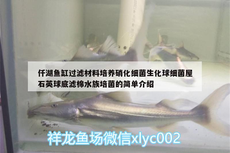 仟湖魚(yú)缸過(guò)濾材料培養(yǎng)硝化細(xì)菌生化球細(xì)菌屋石英球底濾棉水族培菌的簡(jiǎn)單介紹