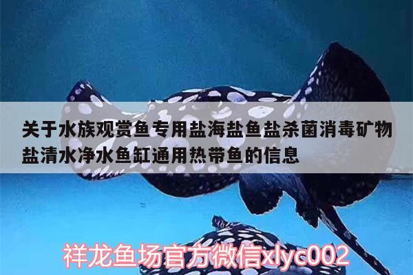 關(guān)于水族觀賞魚專用鹽海鹽魚鹽殺菌消毒礦物鹽清水凈水魚缸通用熱帶魚的信息 廣州水族器材濾材批發(fā)市場