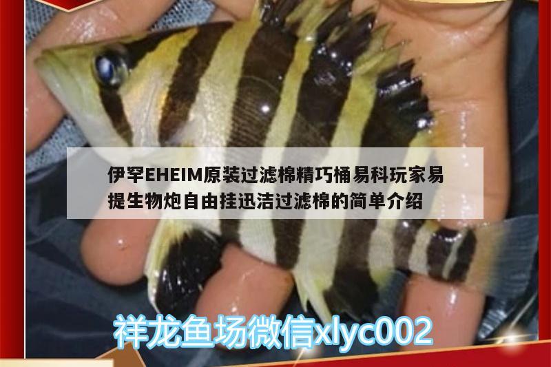 伊罕EHEIM原裝過(guò)濾棉精巧桶易科玩家易提生物炮自由掛迅潔過(guò)濾棉的簡(jiǎn)單介紹