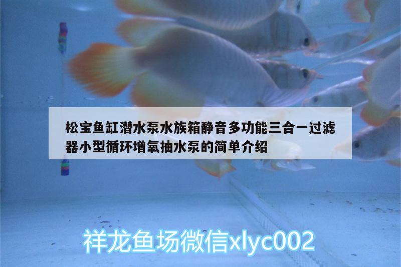 松寶魚缸潛水泵水族箱靜音多功能三合一過濾器小型循環(huán)增氧抽水泵的簡單介紹