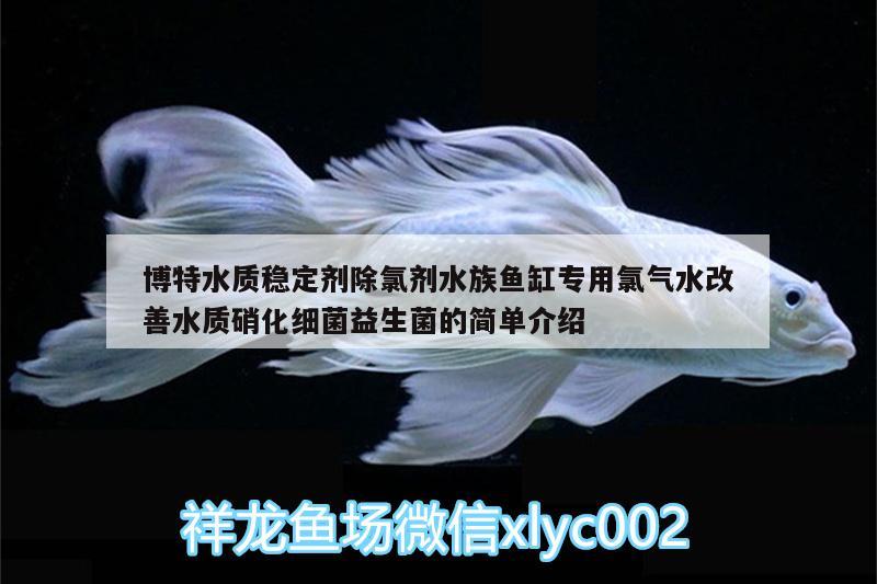 博特水質(zhì)穩(wěn)定劑除氯劑水族魚(yú)缸專(zhuān)用氯氣水改善水質(zhì)硝化細(xì)菌益生菌的簡(jiǎn)單介紹