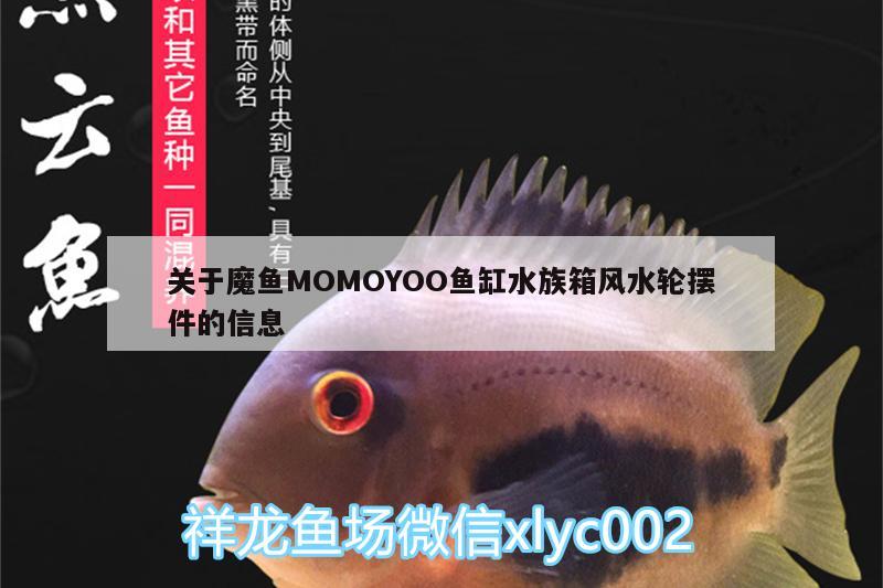 關(guān)于魔魚MOMOYOO魚缸水族箱風水輪擺件的信息