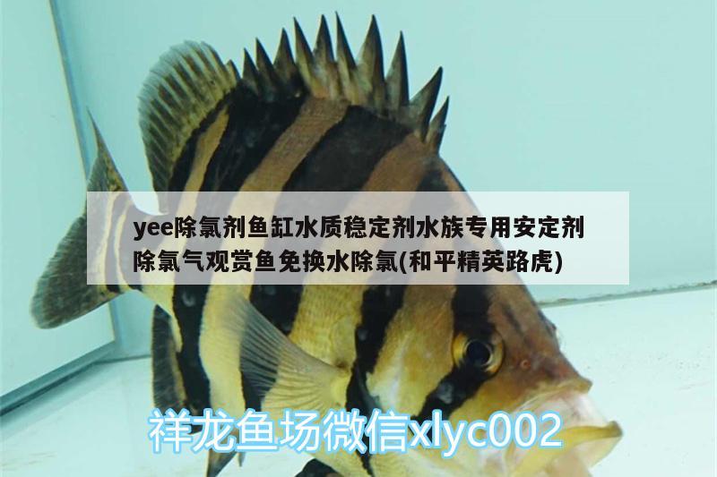 yee除氯劑魚缸水質(zhì)穩(wěn)定劑水族專用安定劑除氯氣觀賞魚免換水除氯(和平精英路虎) yee 第2張