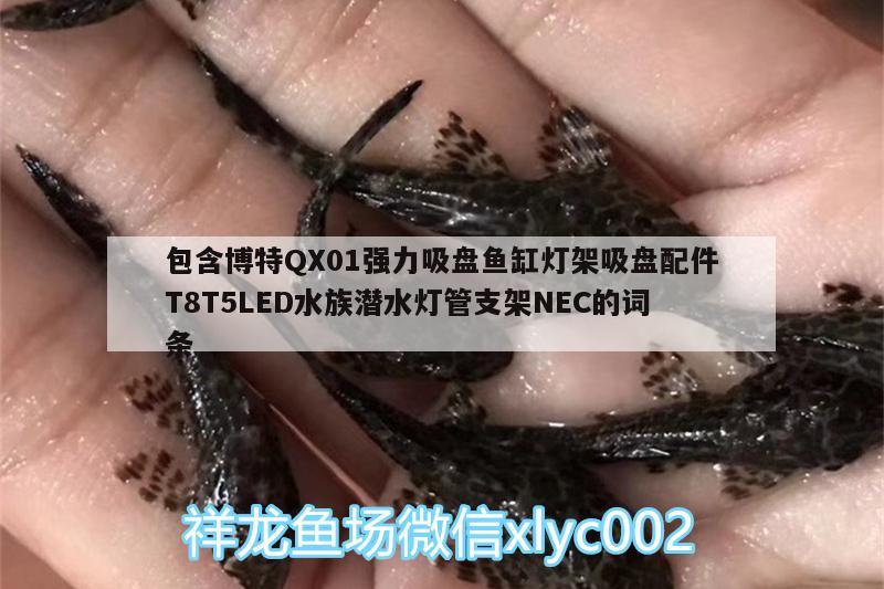 包含博特QX01強(qiáng)力吸盤魚缸燈架吸盤配件T8T5LED水族潛水燈管支架NEC的詞條 博特水族