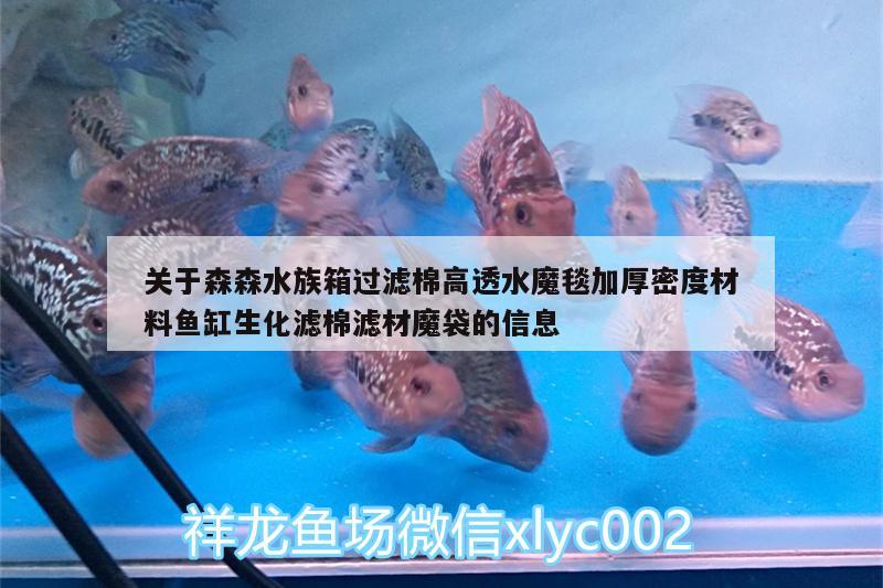 關(guān)于森森水族箱過濾棉高透水魔毯加厚密度材料魚缸生化濾棉濾材魔袋的信息 魚缸/水族箱