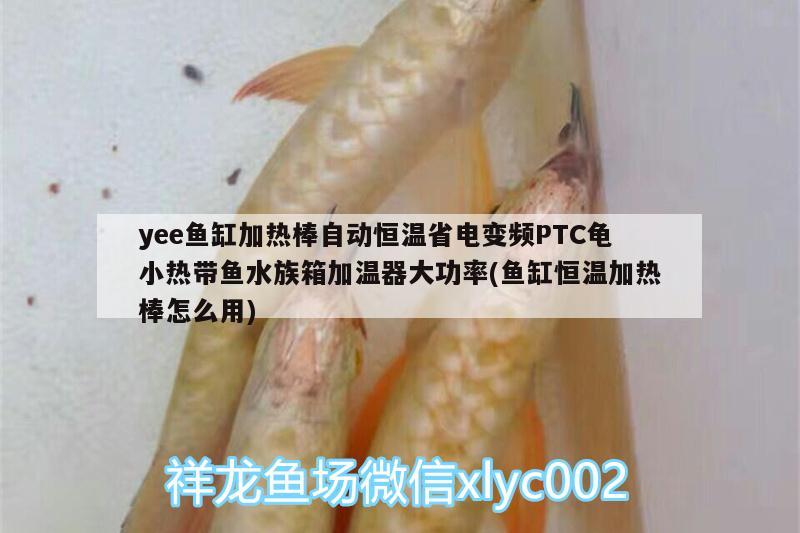 yee魚缸加熱棒自動(dòng)恒溫省電變頻PTC龜小熱帶魚水族箱加溫器大功率(魚缸恒溫加熱棒怎么用)