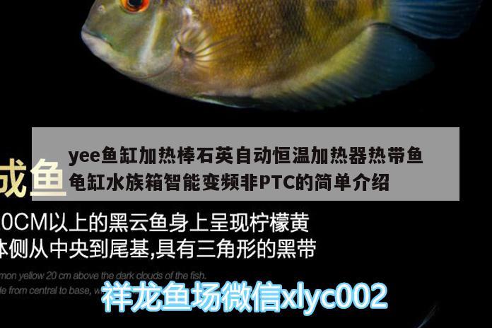 yee魚缸加熱棒石英自動(dòng)恒溫加熱器熱帶魚龜缸水族箱智能變頻非PTC的簡單介紹 烏龜