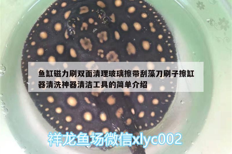 魚缸磁力刷雙面清理玻璃擦帶刮藻刀刷子擦缸器清洗神器清潔工具的簡(jiǎn)單介紹