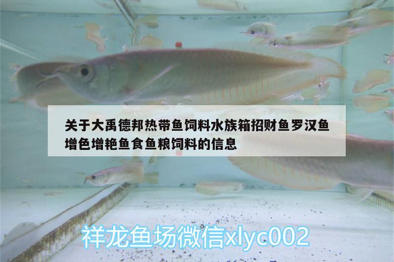 關(guān)于大禹德邦熱帶魚飼料水族箱招財(cái)魚羅漢魚增色增艷魚食魚糧飼料的信息 羅漢魚