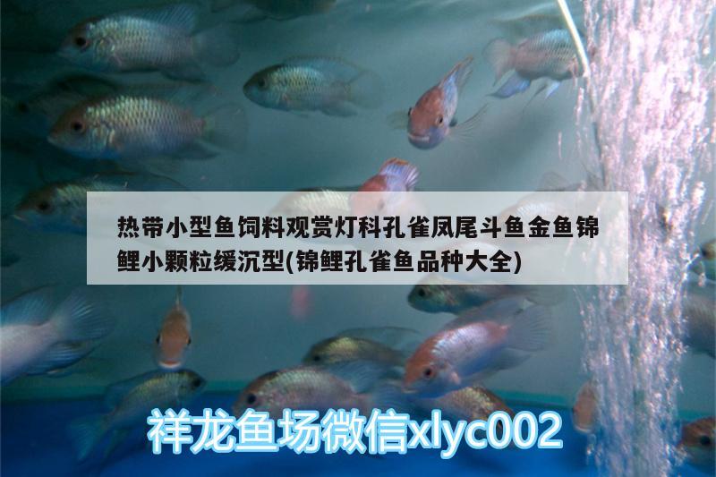 熱帶小型魚飼料觀賞燈科孔雀鳳尾斗魚金魚錦鯉小顆粒緩沉型(錦鯉孔雀魚品種大全) 廣州水族器材濾材批發(fā)市場