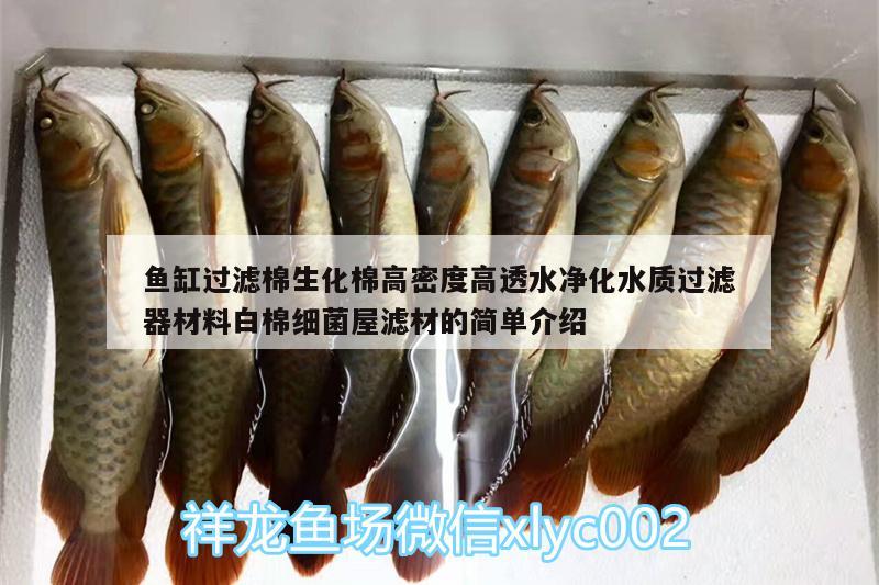 魚(yú)缸過(guò)濾棉生化棉高密度高透水凈化水質(zhì)過(guò)濾器材料白棉細(xì)菌屋濾材的簡(jiǎn)單介紹 廣州水族器材濾材批發(fā)市場(chǎng)