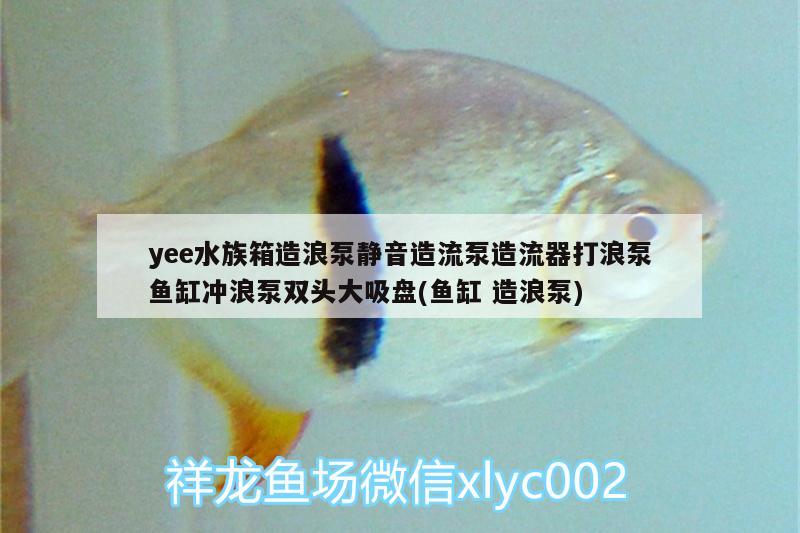 yee水族箱造浪泵靜音造流泵造流器打浪泵魚缸沖浪泵雙頭大吸盤(魚缸造浪泵)