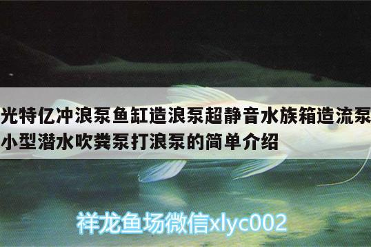 光特億沖浪泵魚缸造浪泵超靜音水族箱造流泵小型潛水吹糞泵打浪泵的簡單介紹 光特億