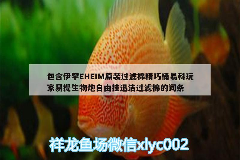 包含伊罕EHEIM原裝過(guò)濾棉精巧桶易科玩家易提生物炮自由掛迅潔過(guò)濾棉的詞條