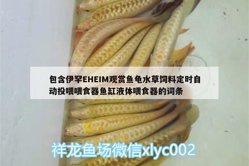 包含伊罕EHEIM觀賞魚龜水草飼料定時(shí)自動(dòng)投喂喂食器魚缸液體喂食器的詞條 烏龜