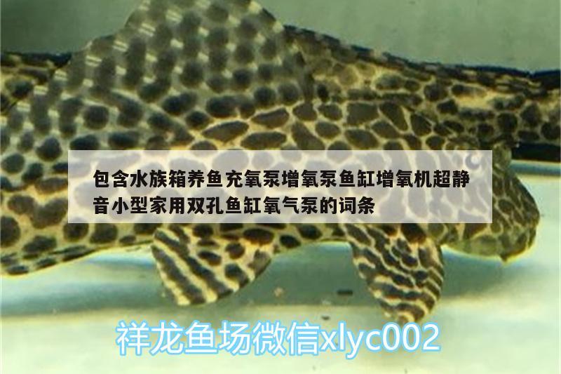 包含水族箱養(yǎng)魚充氧泵增氧泵魚缸增氧機(jī)超靜音小型家用雙孔魚缸氧氣泵的詞條 魚缸/水族箱