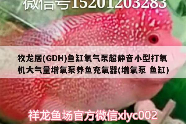 牧龍居(GDH)魚缸氧氣泵超靜音小型打氧機(jī)大氣量增氧泵養(yǎng)魚充氧器(增氧泵魚缸)