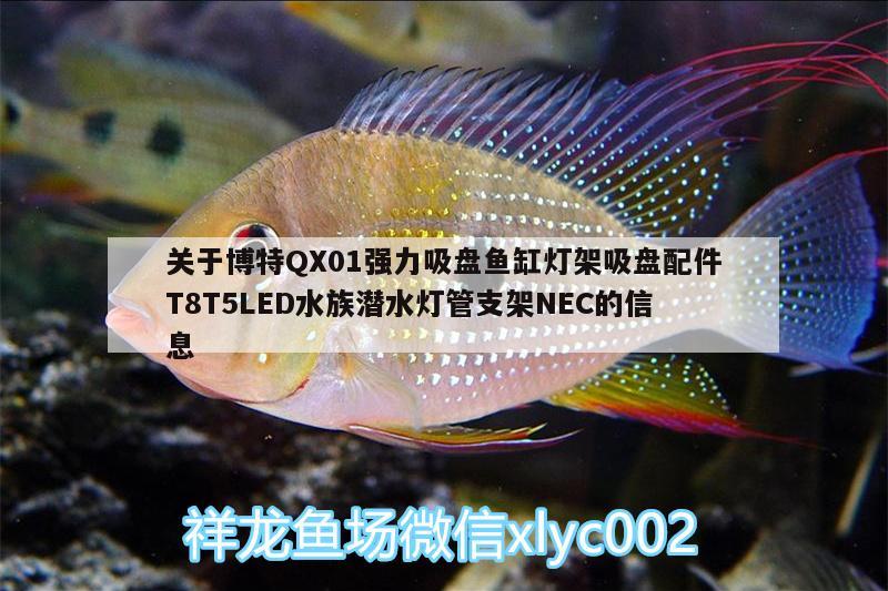 關(guān)于博特QX01強力吸盤魚缸燈架吸盤配件T8T5LED水族潛水燈管支架NEC的信息