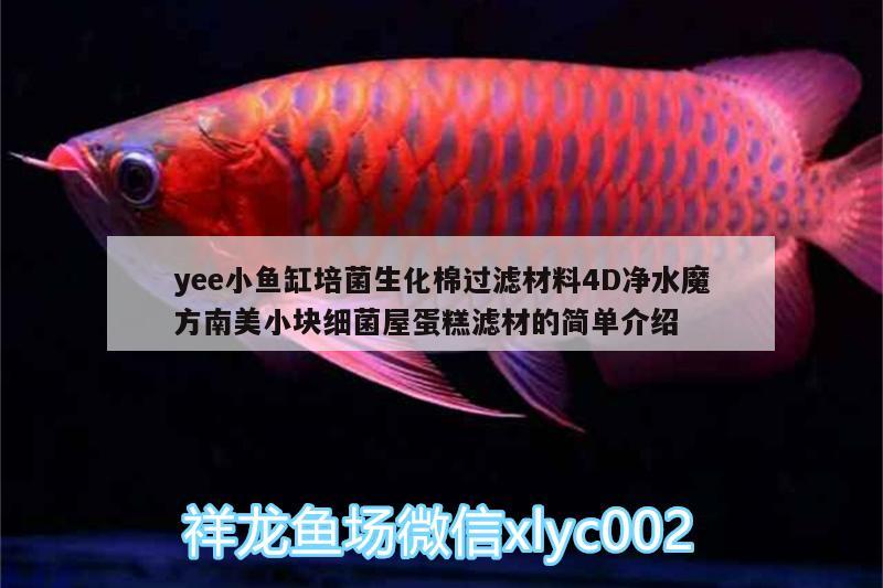 yee小魚缸培菌生化棉過濾材料4D凈水魔方南美小塊細(xì)菌屋蛋糕濾材的簡單介紹 yee