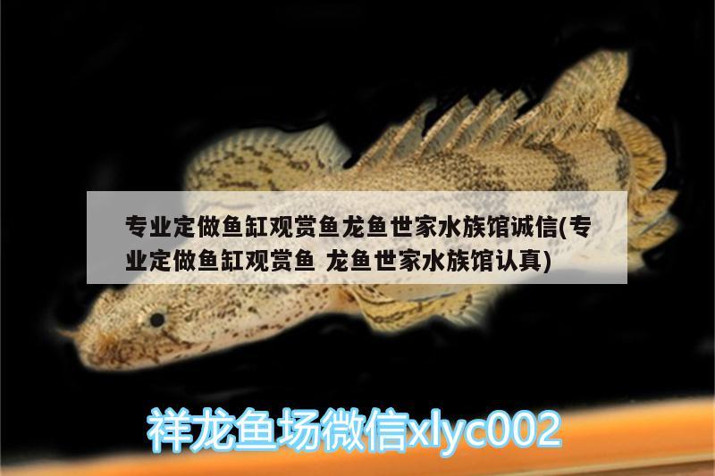 專業(yè)定做魚缸觀賞魚龍魚世家水族館誠信(專業(yè)定做魚缸觀賞魚龍魚世家水族館認真)