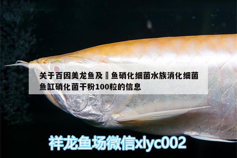 關(guān)于百因美龍魚及魟魚硝化細菌水族消化細菌魚缸硝化菌干粉100粒的信息