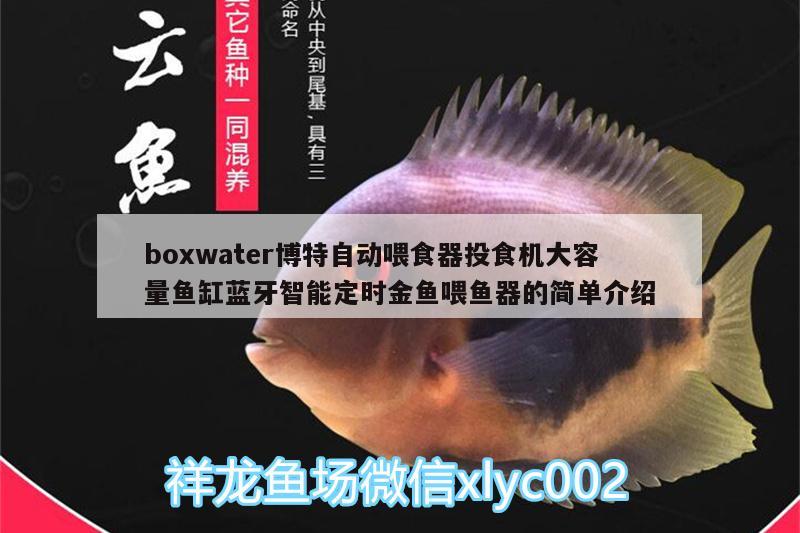 boxwater博特自動(dòng)喂食器投食機(jī)大容量魚(yú)缸藍(lán)牙智能定時(shí)金魚(yú)喂魚(yú)器的簡(jiǎn)單介紹 博特水族