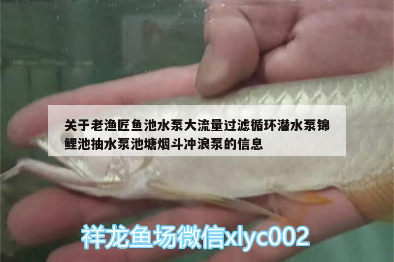 關(guān)于老漁匠魚池水泵大流量過濾循環(huán)潛水泵錦鯉池抽水泵池塘煙斗沖浪泵的信息