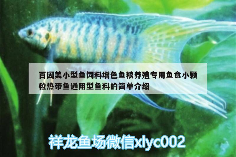 百因美小型魚飼料增色魚糧養(yǎng)殖專用魚食小顆粒熱帶魚通用型魚料的簡單介紹 廣州水族器材濾材批發(fā)市場