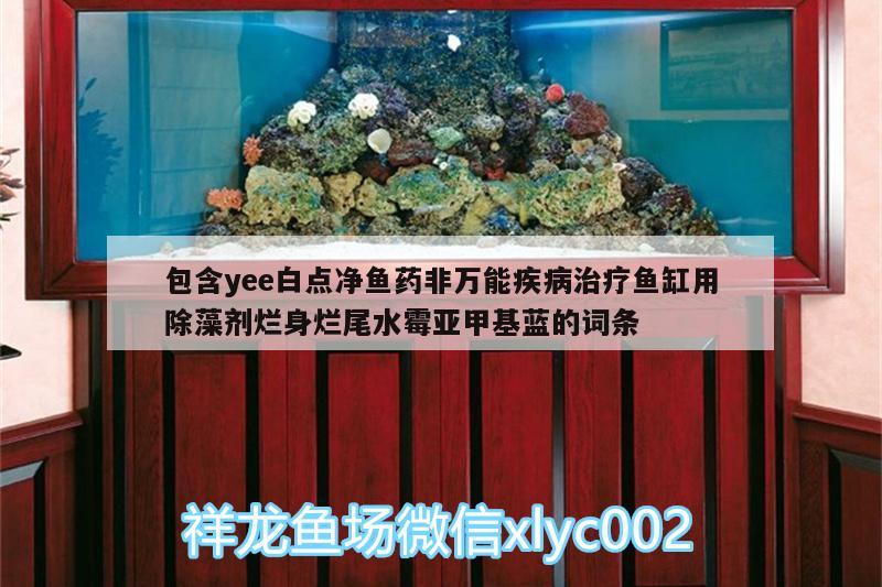 包含yee白點凈魚藥非萬能疾病治療魚缸用除藻劑爛身爛尾水霉亞甲基藍的詞條 yee