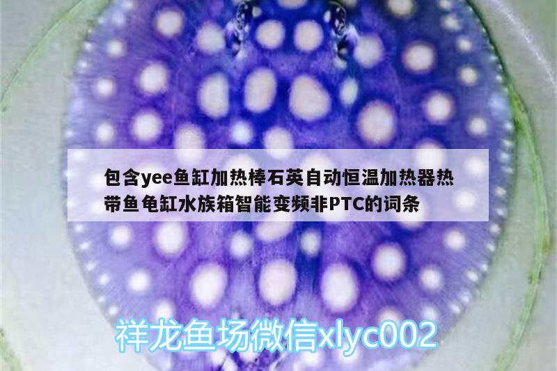 包含yee魚缸加熱棒石英自動恒溫加熱器熱帶魚龜缸水族箱智能變頻非PTC的詞條 烏龜