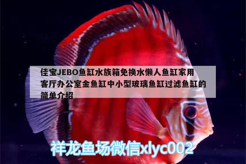 佳寶JEBO魚缸水族箱免換水懶人魚缸家用客廳辦公室金魚缸中小型玻璃魚缸過濾魚缸的簡單介紹 魚缸/水族箱