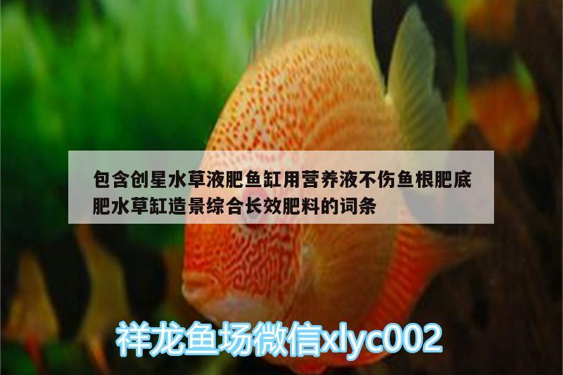 包含創(chuàng)星水草液肥魚(yú)缸用營(yíng)養(yǎng)液不傷魚(yú)根肥底肥水草缸造景綜合長(zhǎng)效肥料的詞條