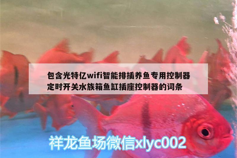 包含光特億wifi智能排插養(yǎng)魚專用控制器定時(shí)開關(guān)水族箱魚缸插座控制器的詞條