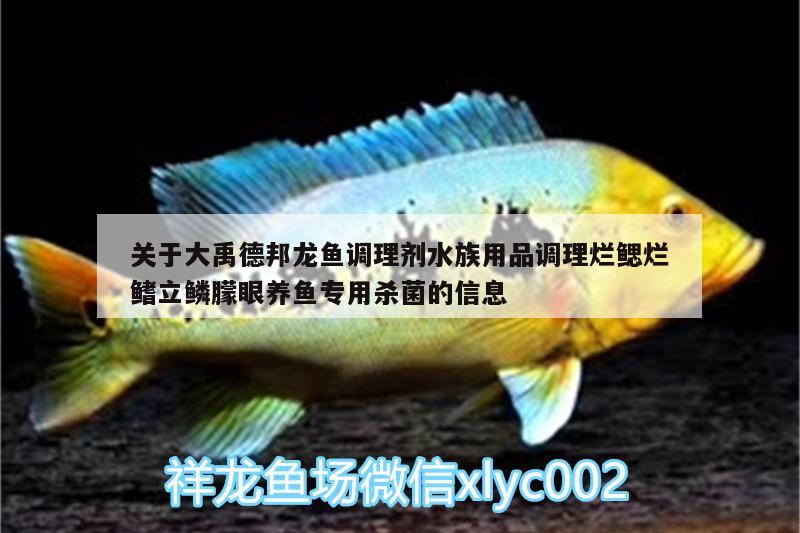 關(guān)于大禹德邦龍魚(yú)調(diào)理劑水族用品調(diào)理爛鰓爛鰭立鱗朦眼養(yǎng)魚(yú)專用殺菌的信息 水族用品