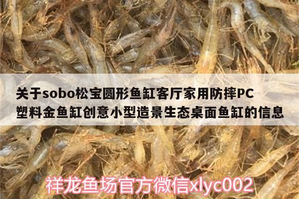 關(guān)于sobo松寶圓形魚缸客廳家用防摔PC塑料金魚缸創(chuàng)意小型造景生態(tài)桌面魚缸的信息 廣州水族器材濾材批發(fā)市場