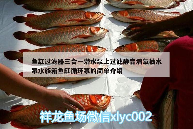 魚缸過(guò)濾器三合一潛水泵上過(guò)濾靜音增氧抽水泵水族箱魚缸循環(huán)泵的簡(jiǎn)單介紹